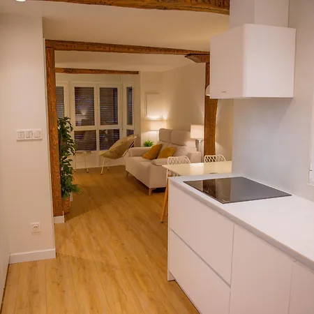 Апартаменты Txoko Etxea